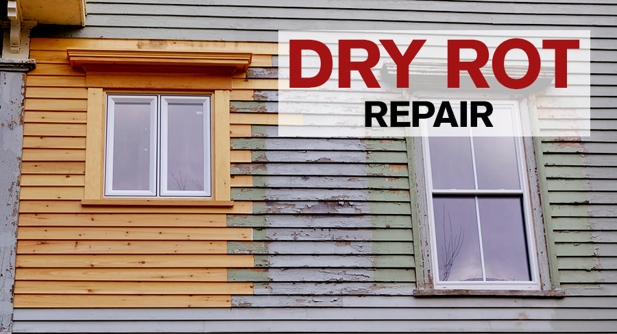 Dry Rot Repair, Termite Damage Repair San Diego