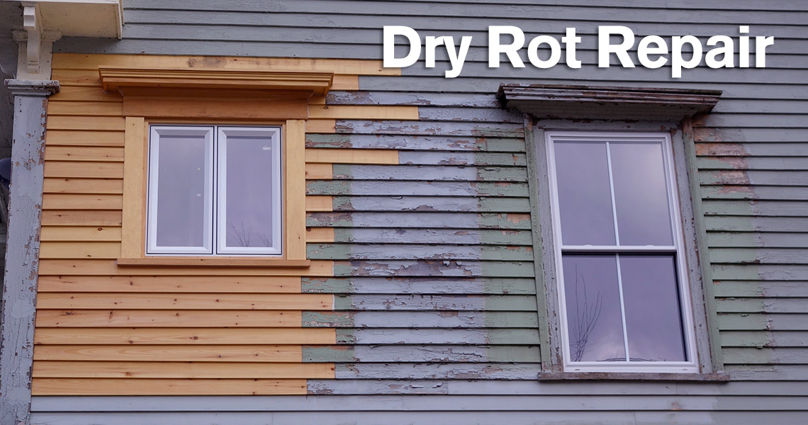 Dry Rot Repair