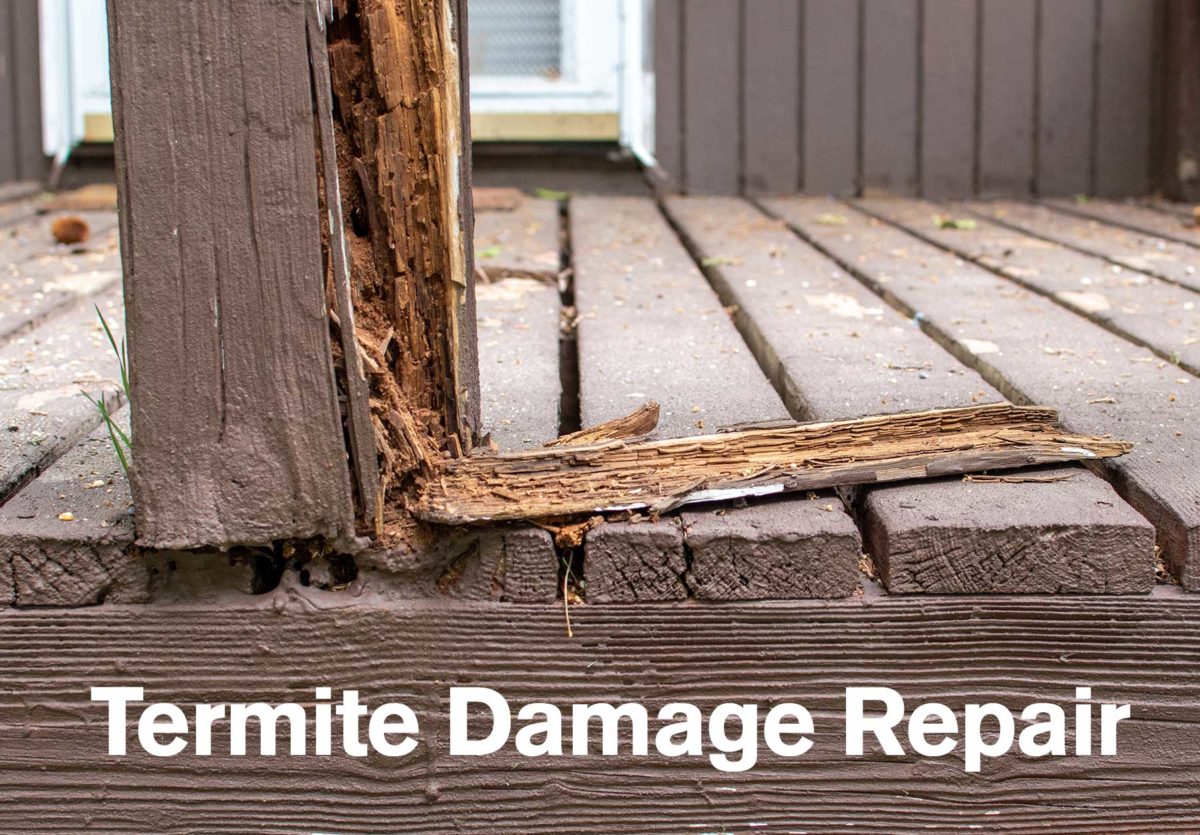 Termites damage repair near me solutions for homeowners